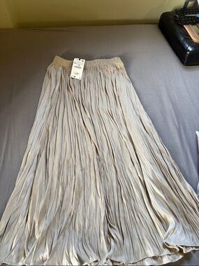 Light Gray Pleated Maxi Skirt - Brand